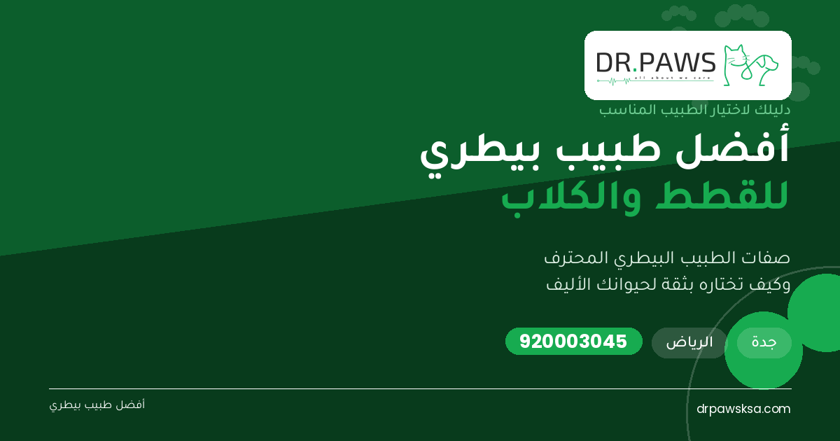 أفضل طبيب بيطري للقطط والكلاب: صفات الطبيب المحترف