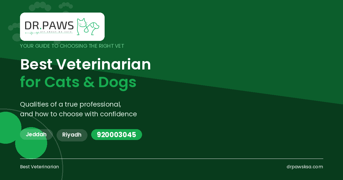 Best Veterinarian for Cats and Dogs | Qualities of a Professional Vet – Dr. Paws